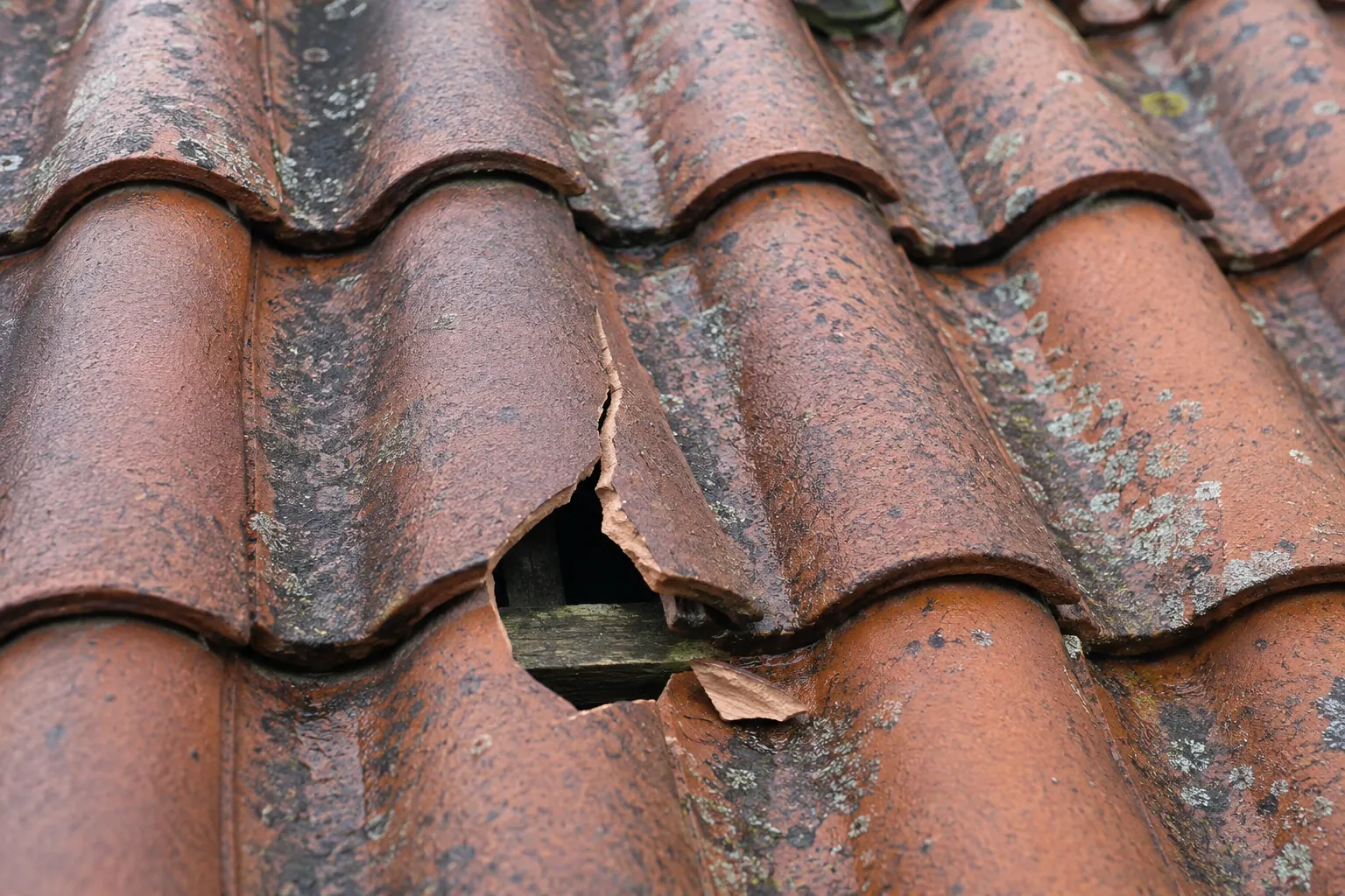 Tuile cassée sur une toiture, ouverture pouvant provoquer une infiltration